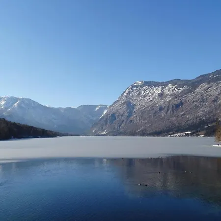 Apartma Awesome In Bohinjska Bistrica With 1 Bedrooms And Wifi Bohinj