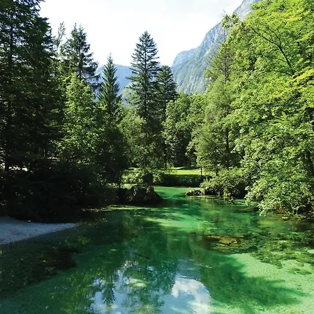 Awesome In Bohinjska Bistrica With 1 Bedrooms And Wifi Apartmán *